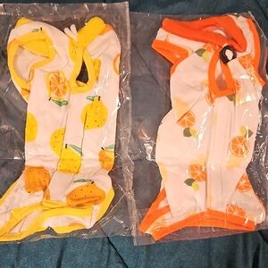 Fruit Print Dog Outfits